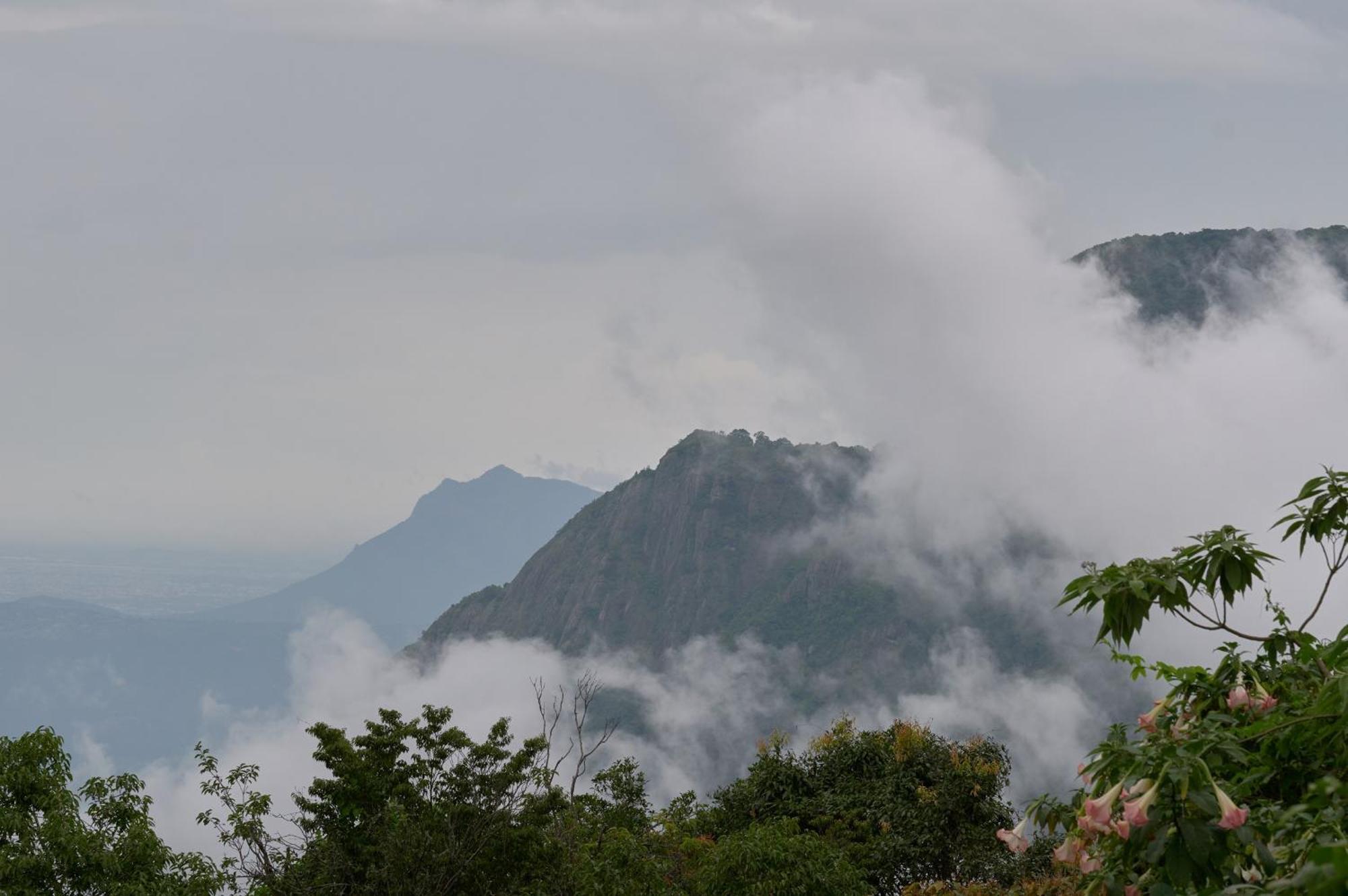 De Rock Jungle Living Resort Coonoor Εξωτερικό φωτογραφία
