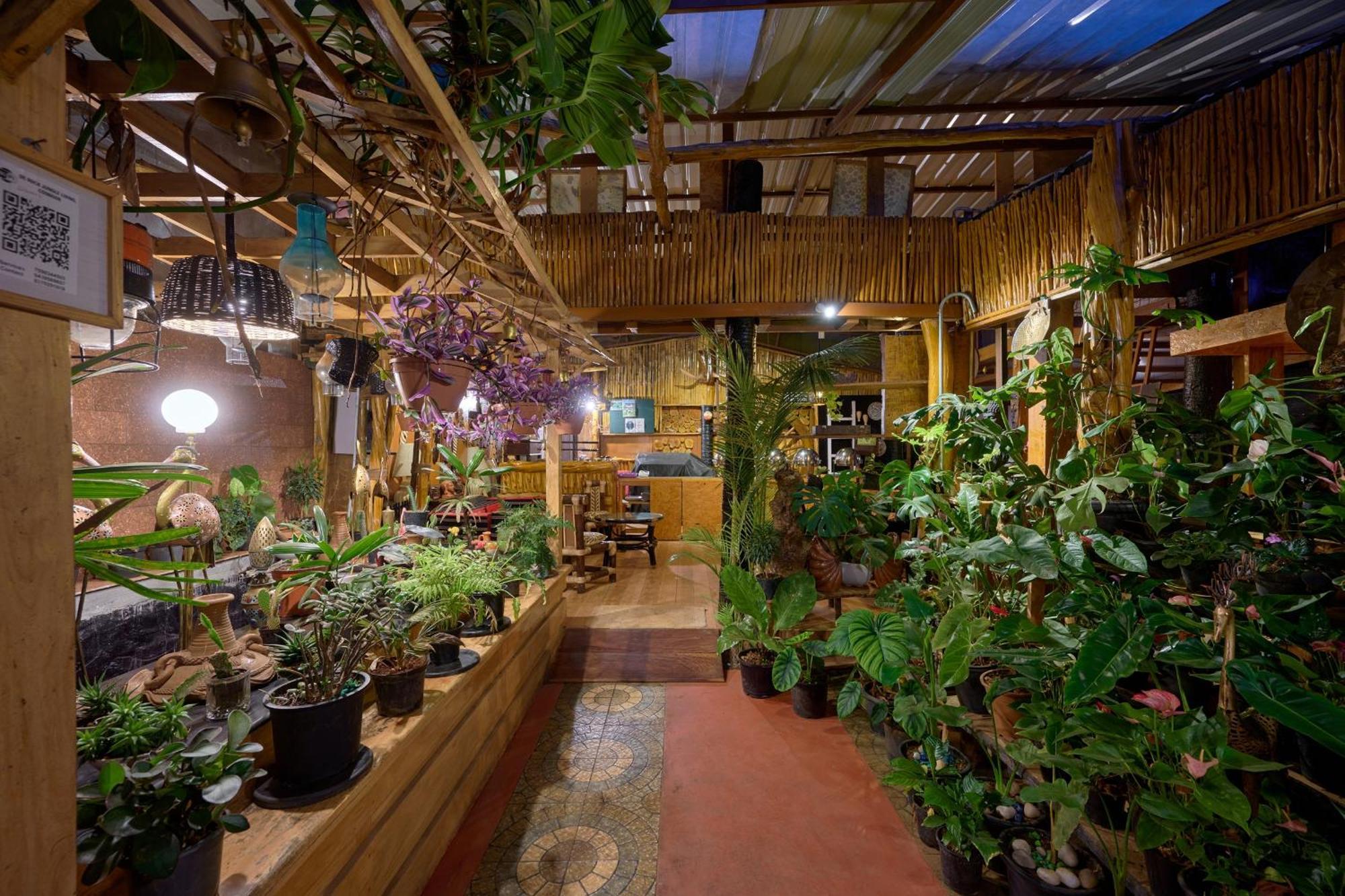De Rock Jungle Living Resort Coonoor Εξωτερικό φωτογραφία